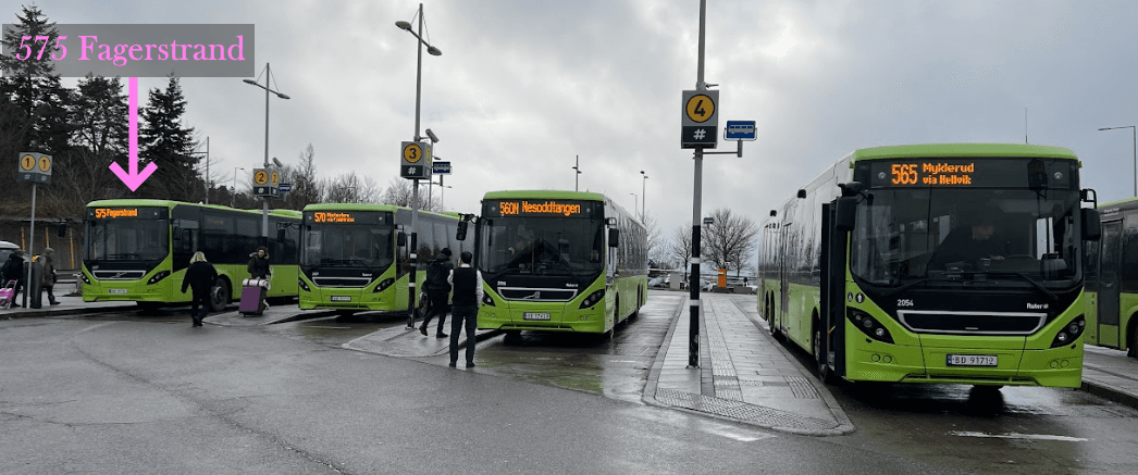 Bus Timetable or Sign